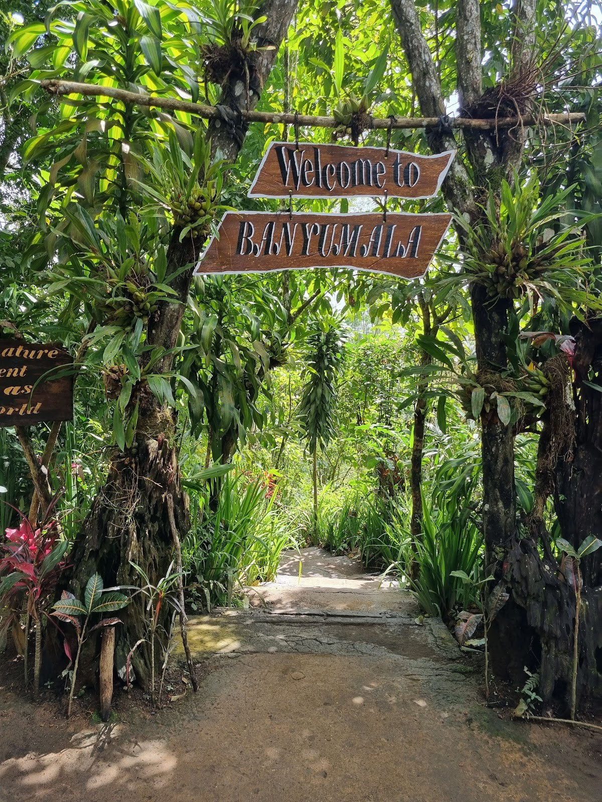 Banyumala Waterfall