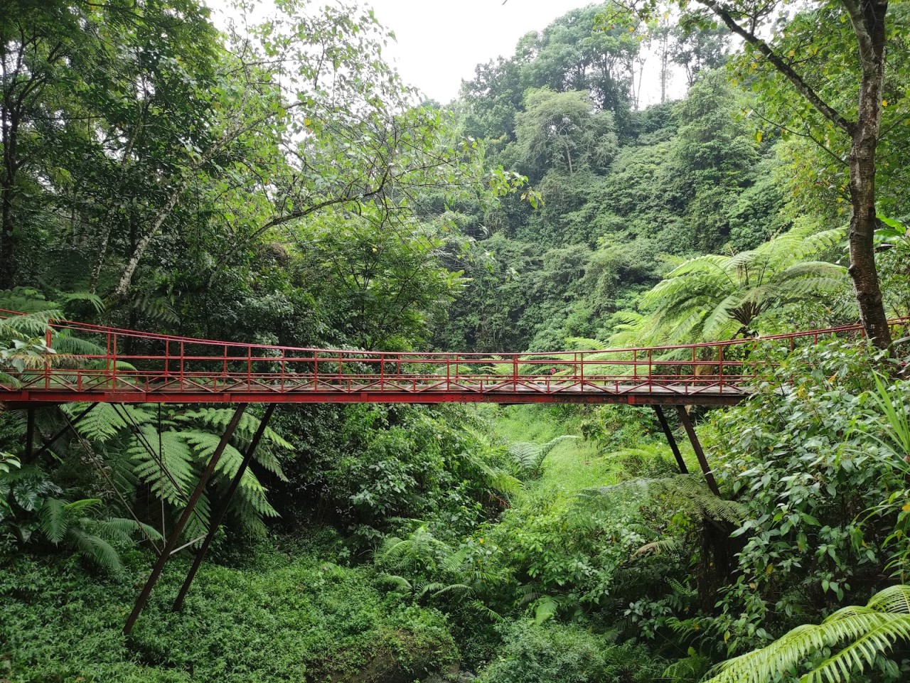 Banyumala Waterfall