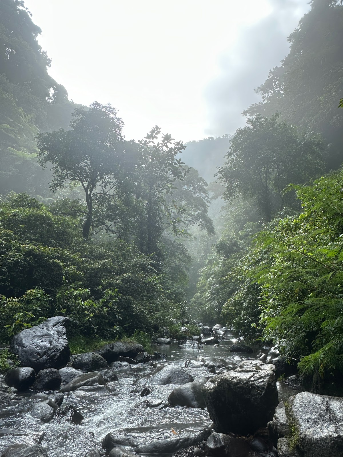 Sekumpul Waterfall