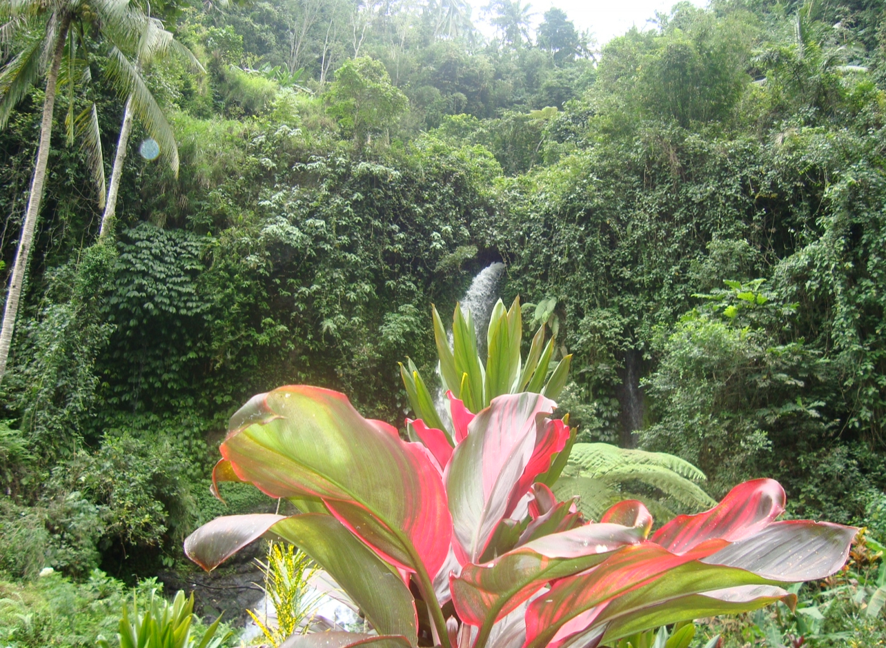 Sekumpul Waterfall