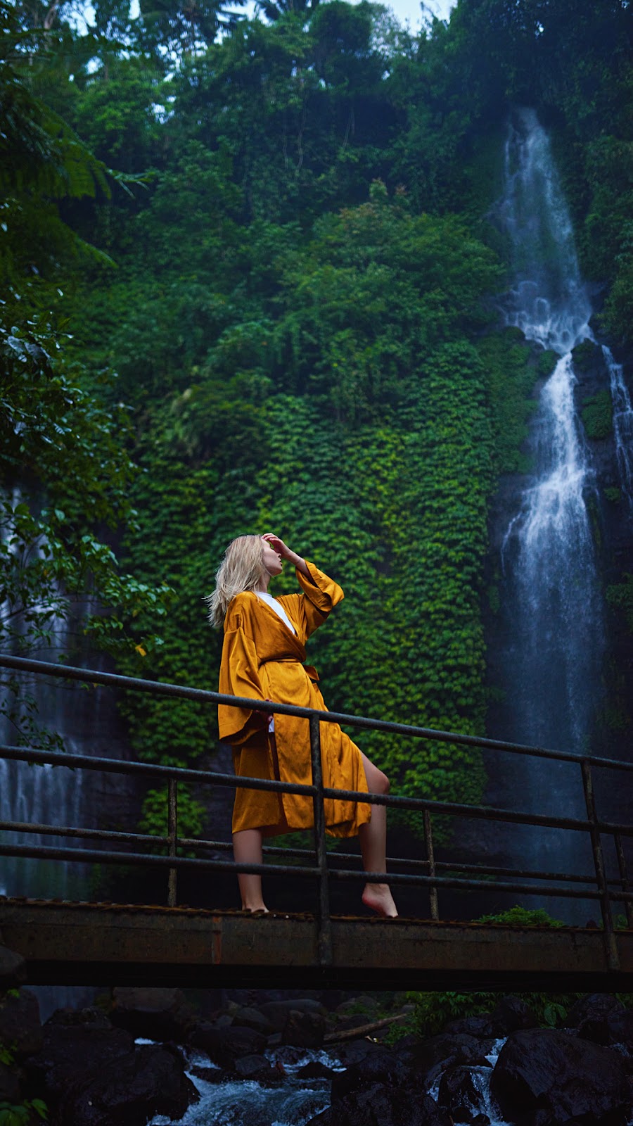 Fiji Waterfall Lemukih