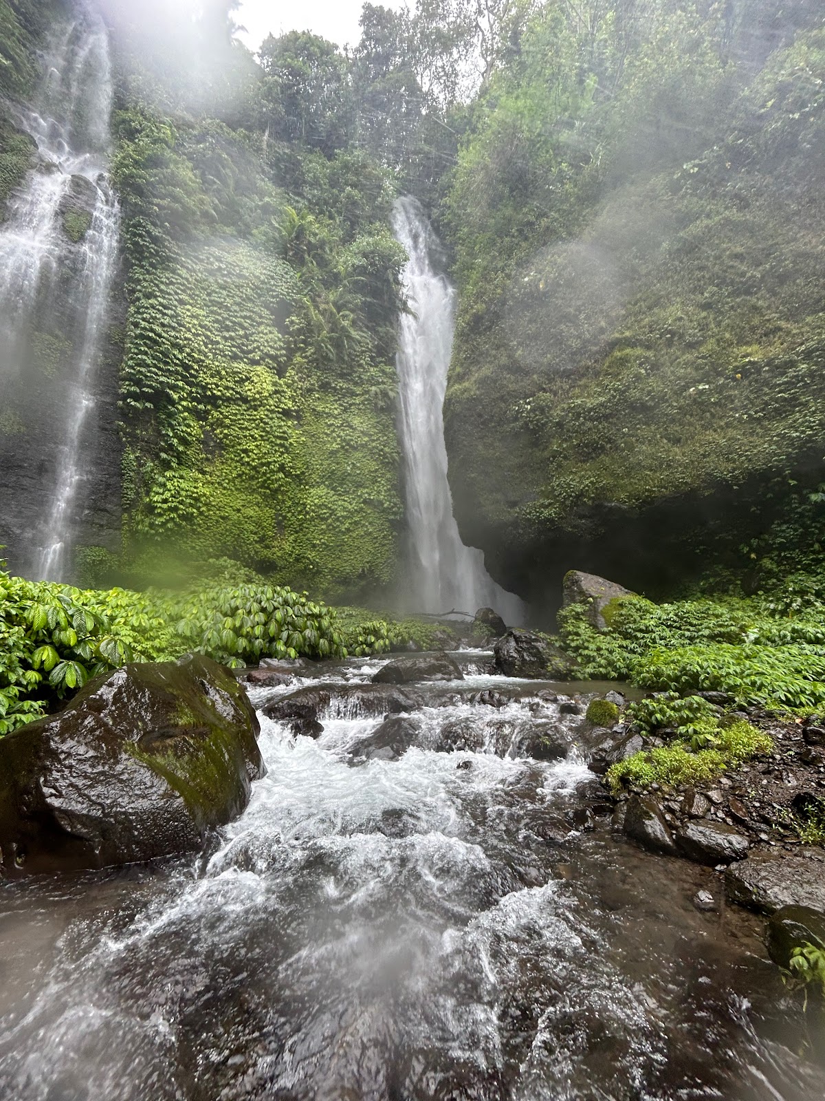 Fiji Waterfall Lemukih