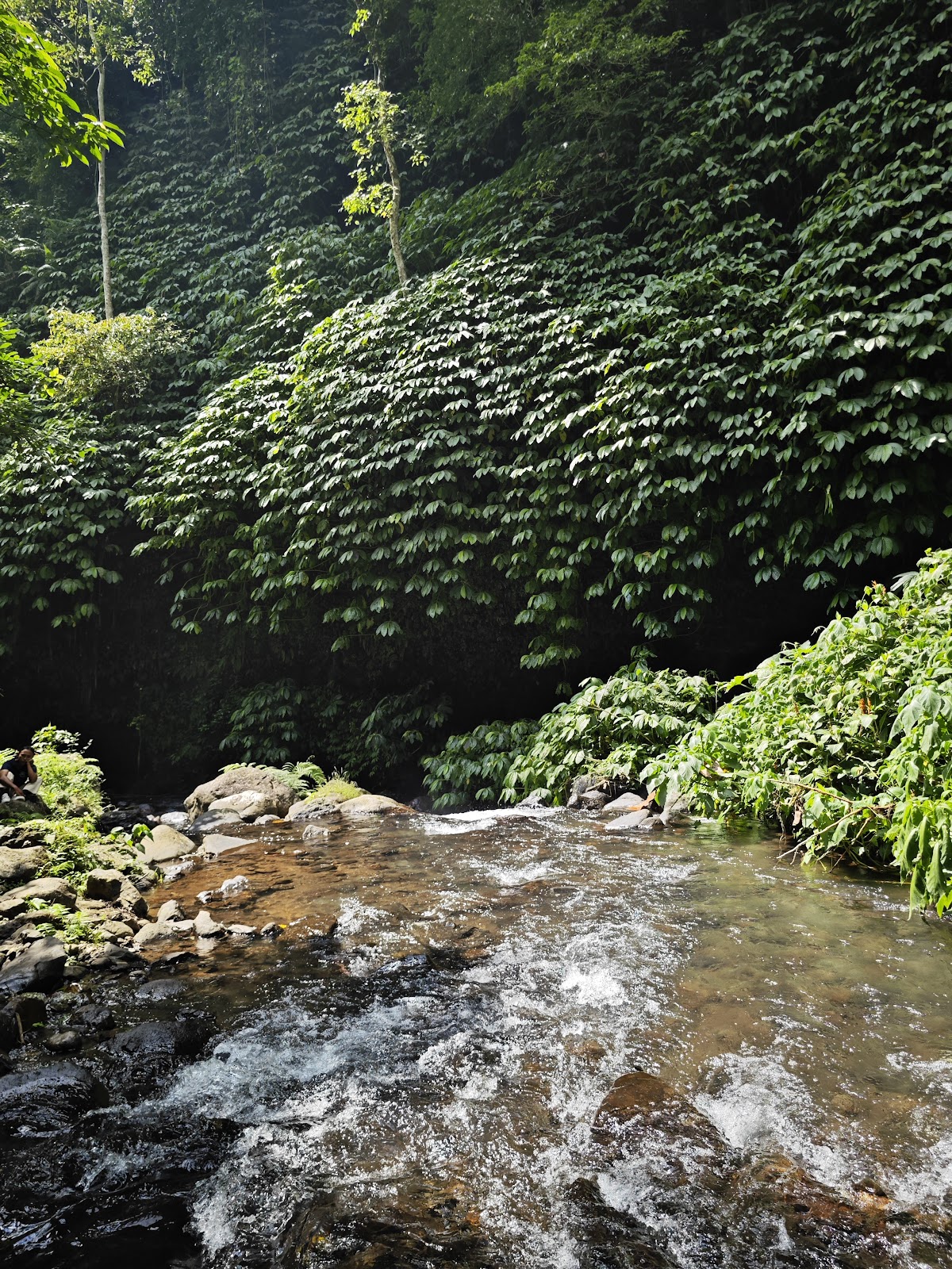 Fiji Waterfall Lemukih