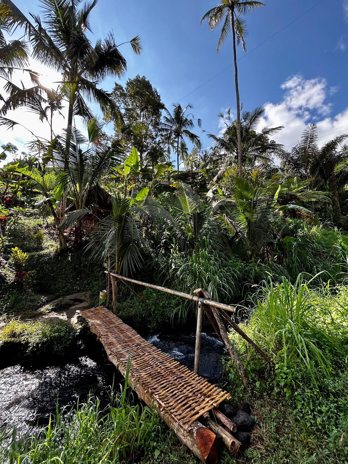 Waterfall Fiji Waterfall Lemukih 105141