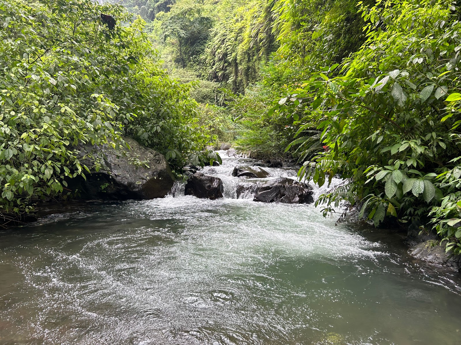 Fiji Waterfall Lemukih