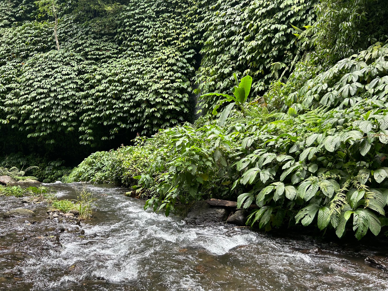 Fiji Waterfall Lemukih