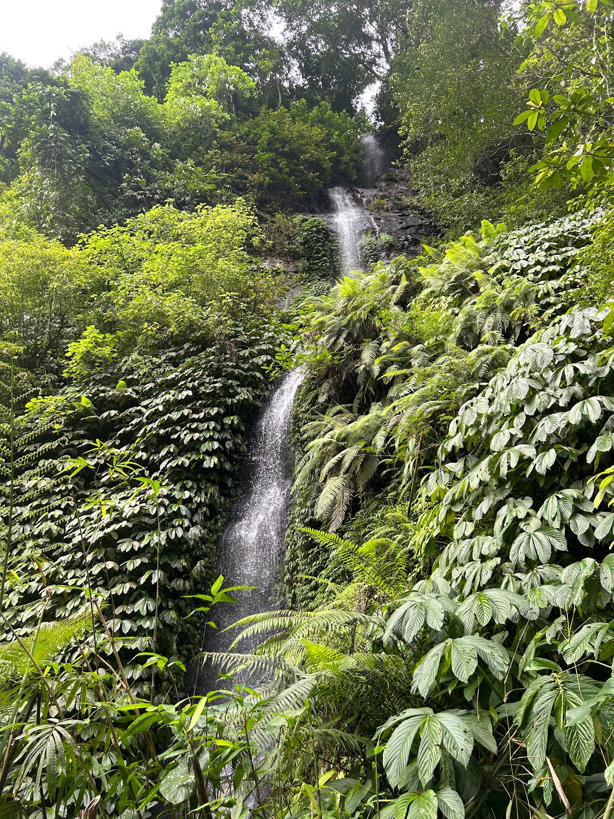 Fiji Waterfall Lemukih