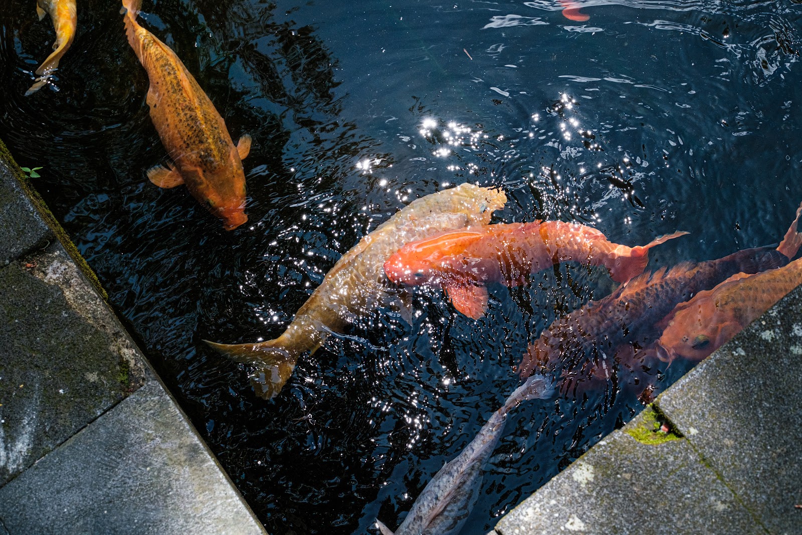 Pura Tirta Empul