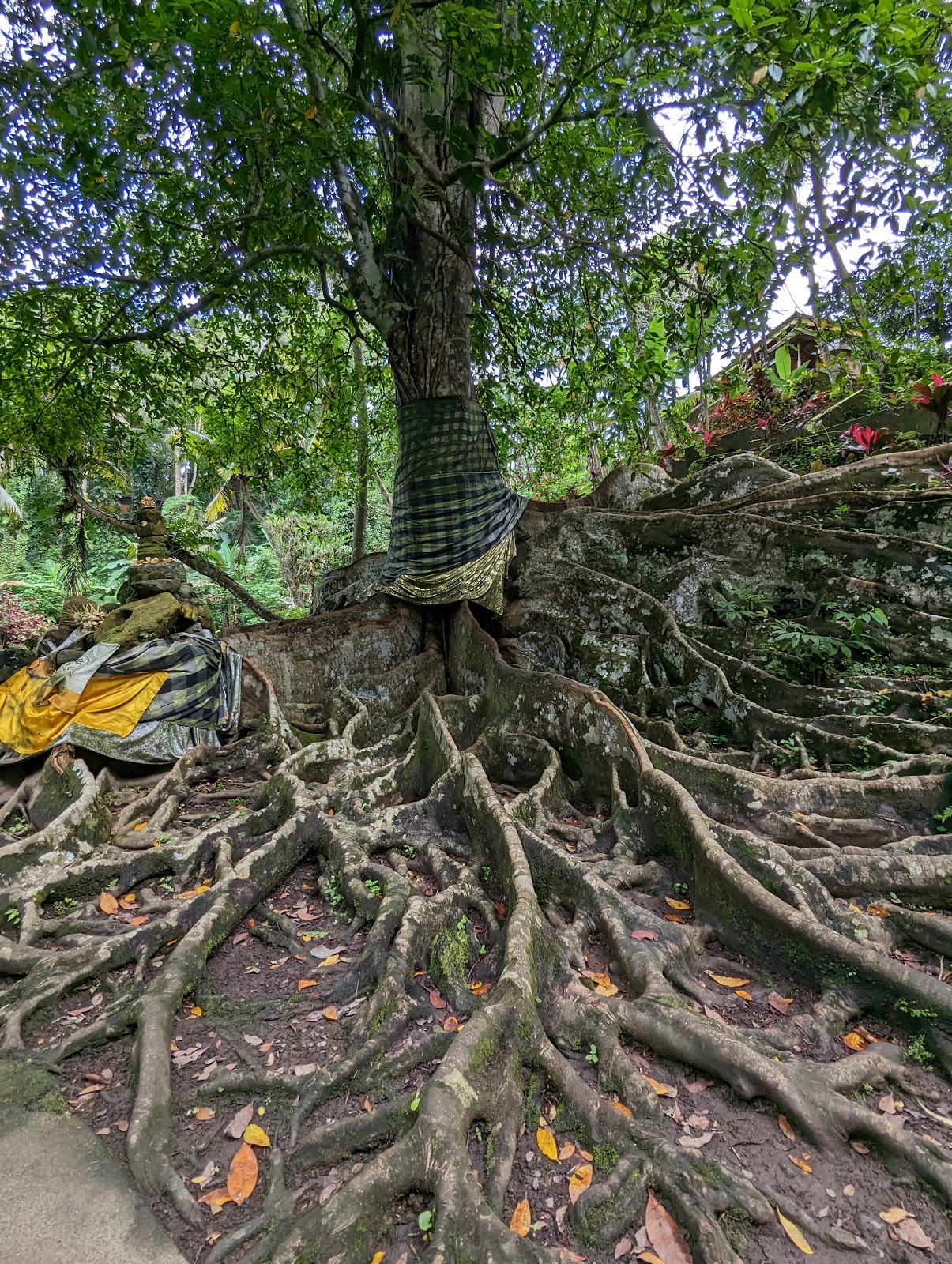 Temple Goa Gajah 105015