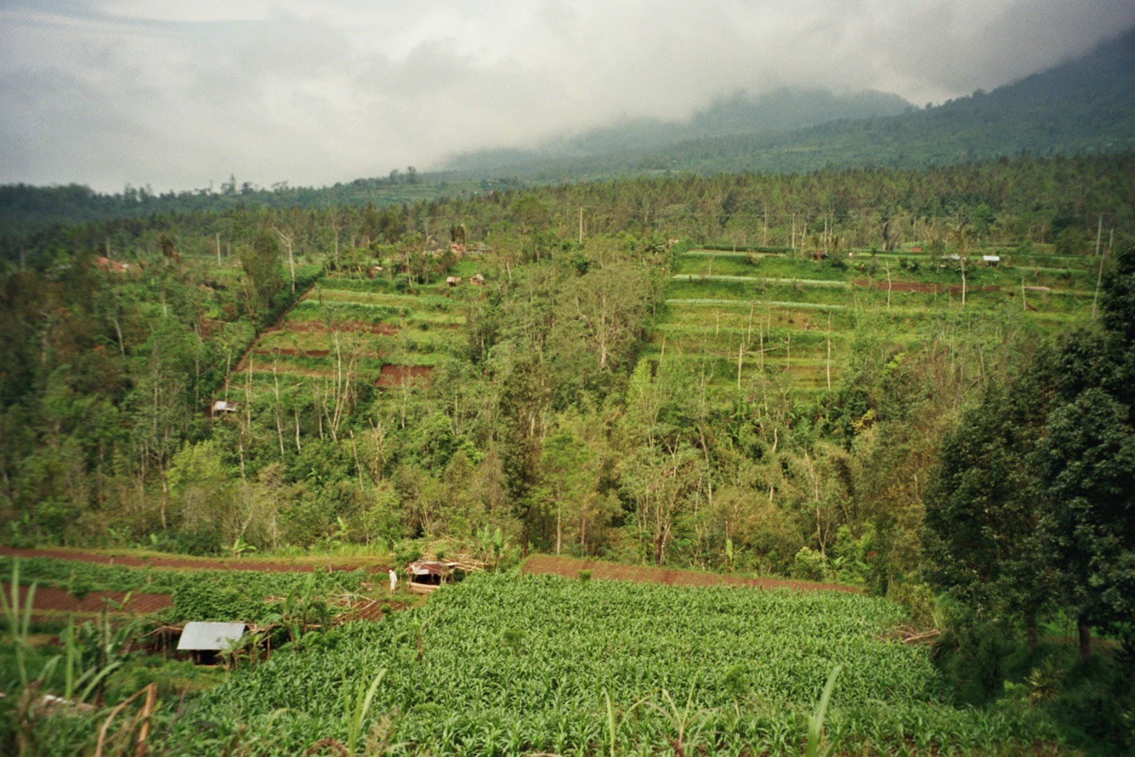 Mount Batur