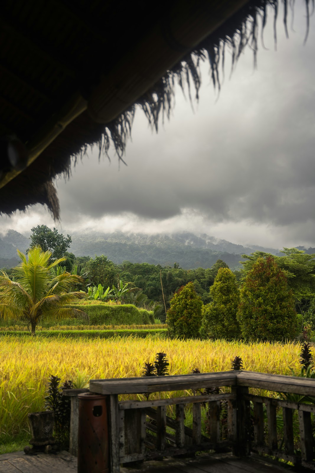 Jatiluwih Rice Terraces