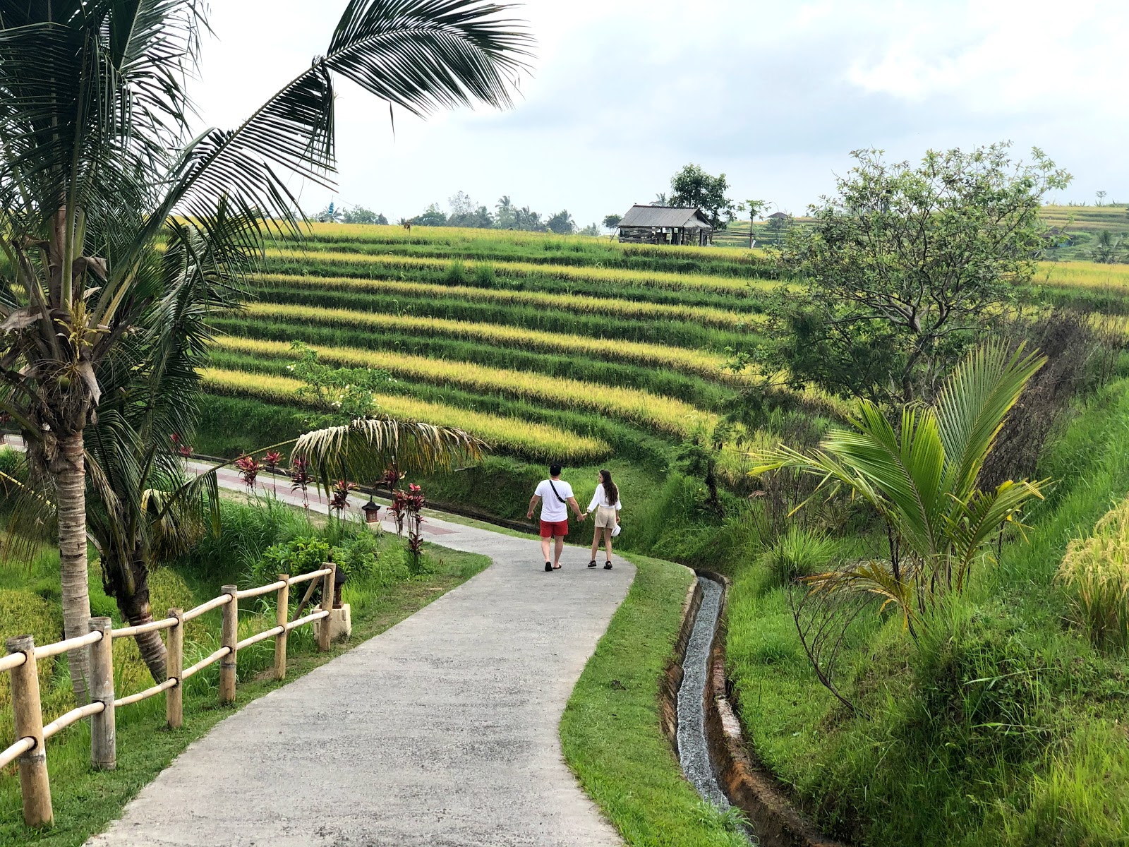 Jatiluwih Rice Terraces