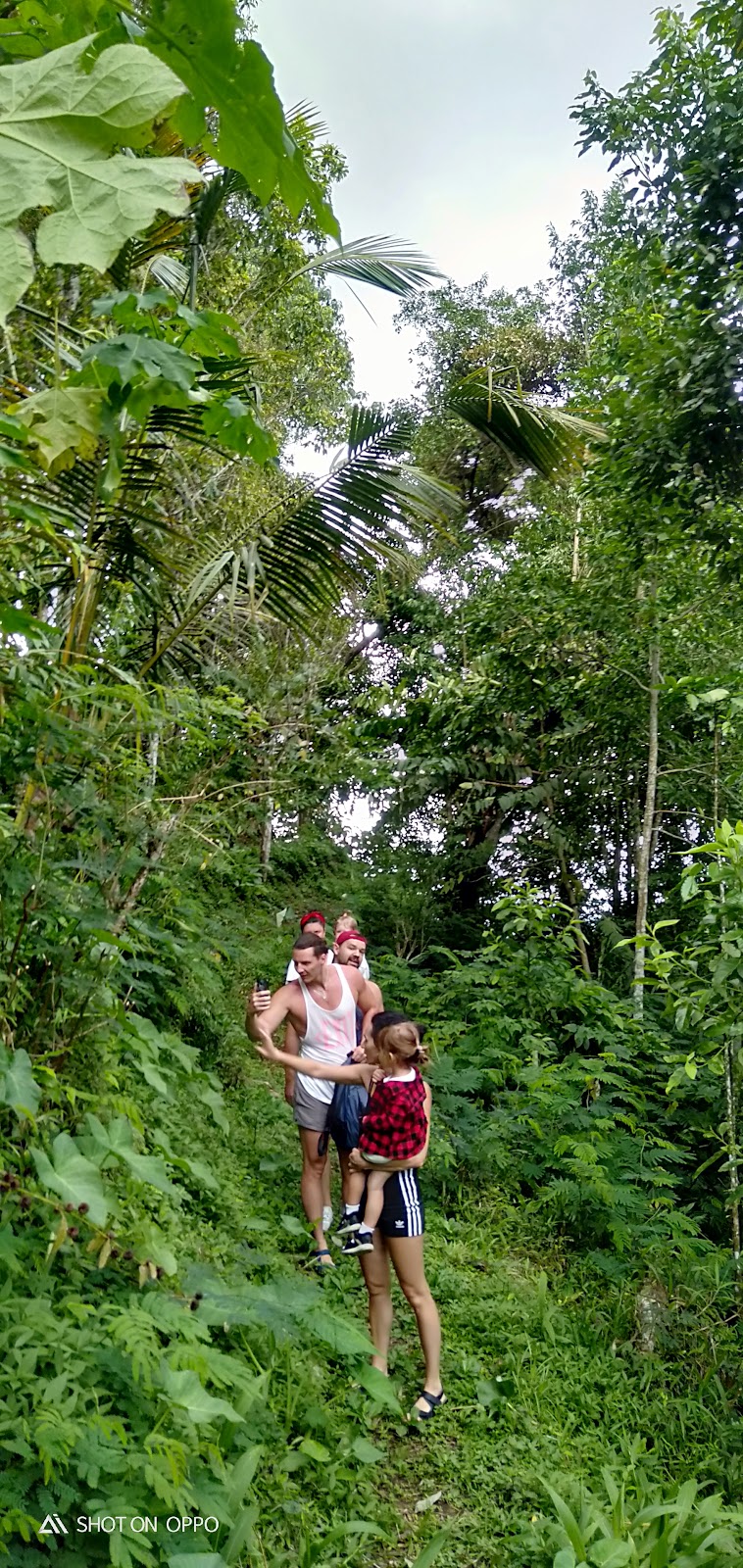 Gitgit Waterfall