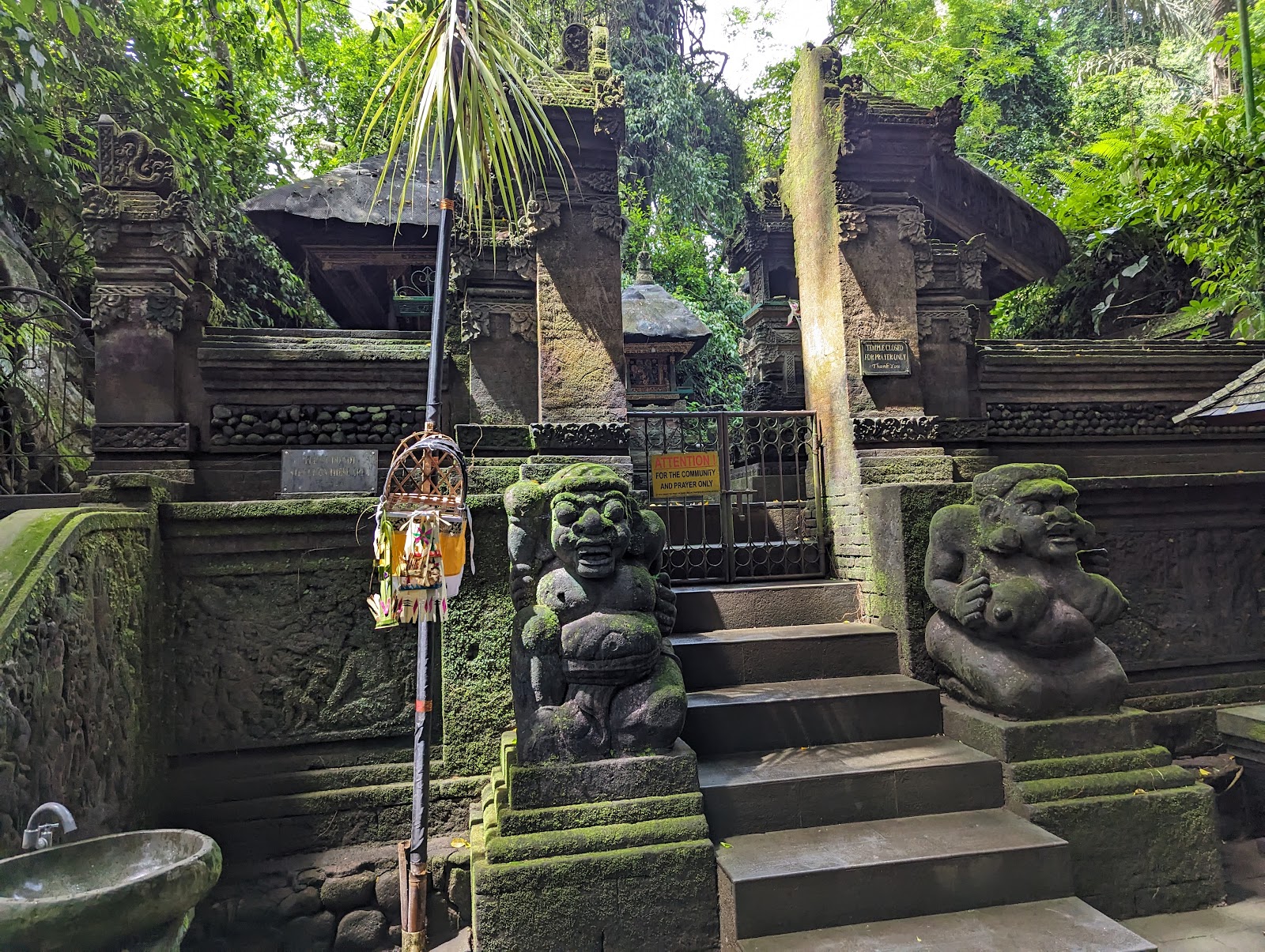 Sacred Monkey Forest Sanctuary