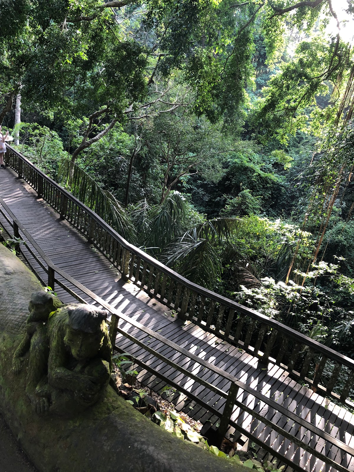 Sacred Monkey Forest Sanctuary