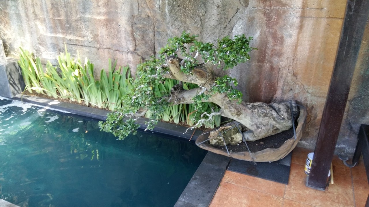 Kolam Renang Tirta Kramas