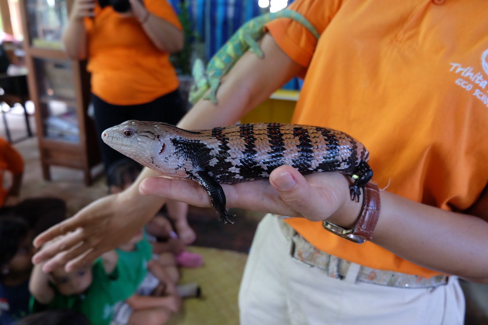 Trihita Alam Eco School Bali