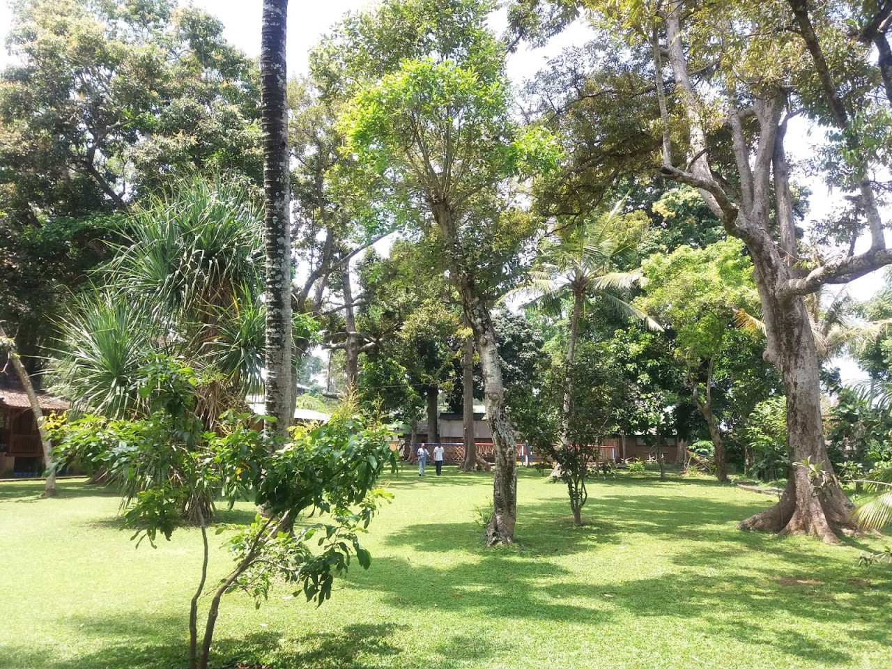 Wood School Bali