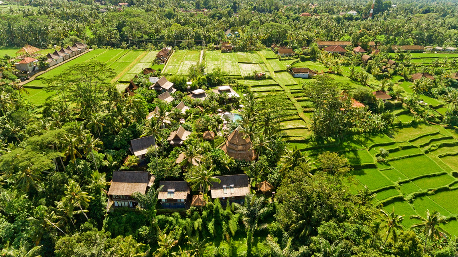 Hotel Blue Karma Dijiwa Ubud 103125