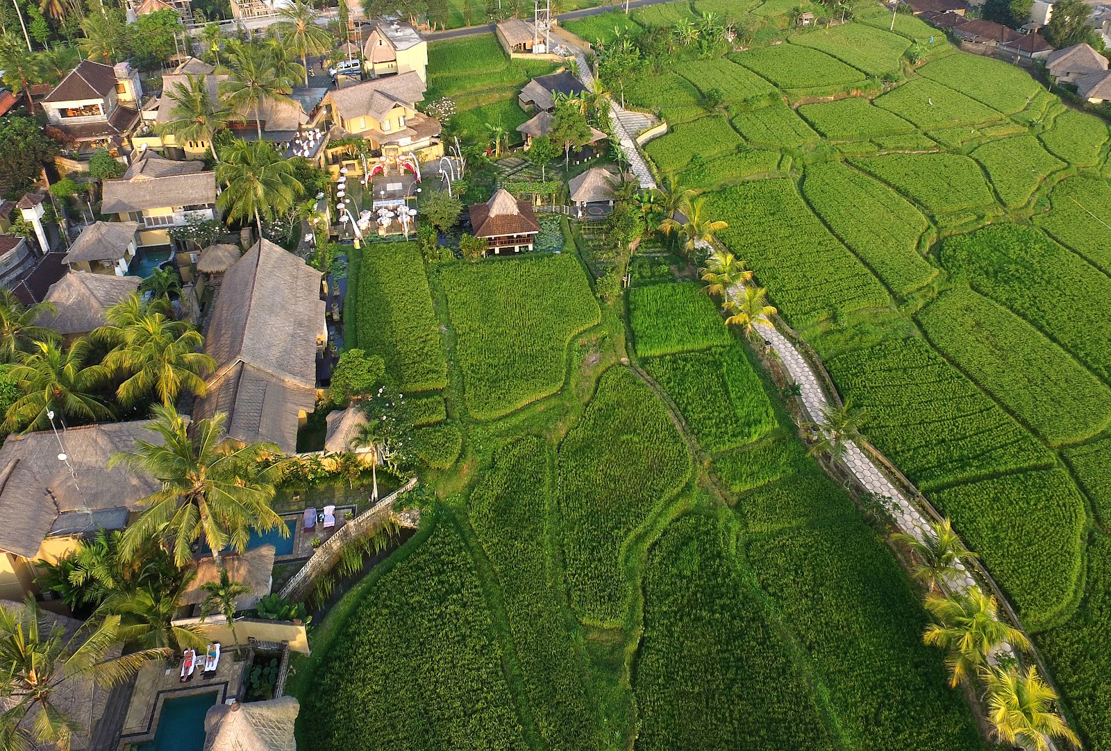 Wapa di Ume Ubud