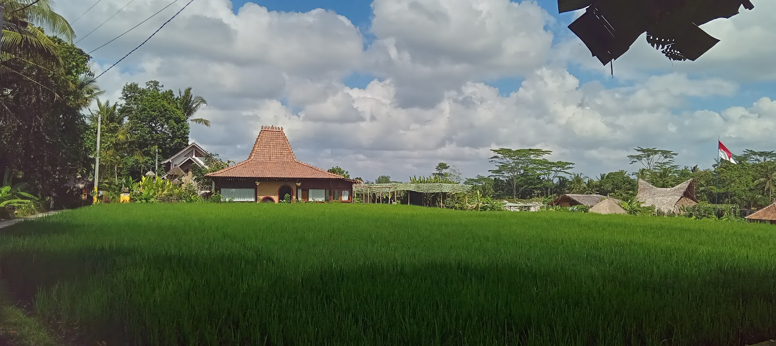 Empathy School (International, Ubud)