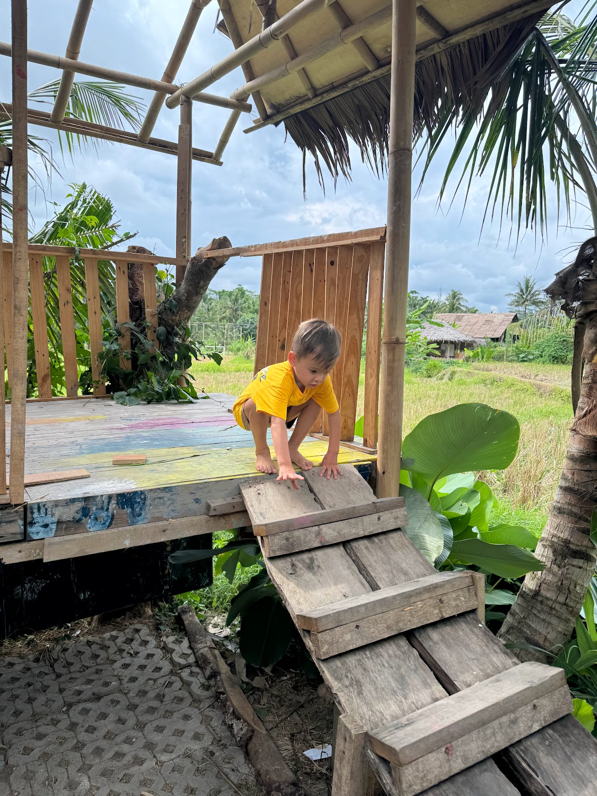 Empathy School (International, Ubud)