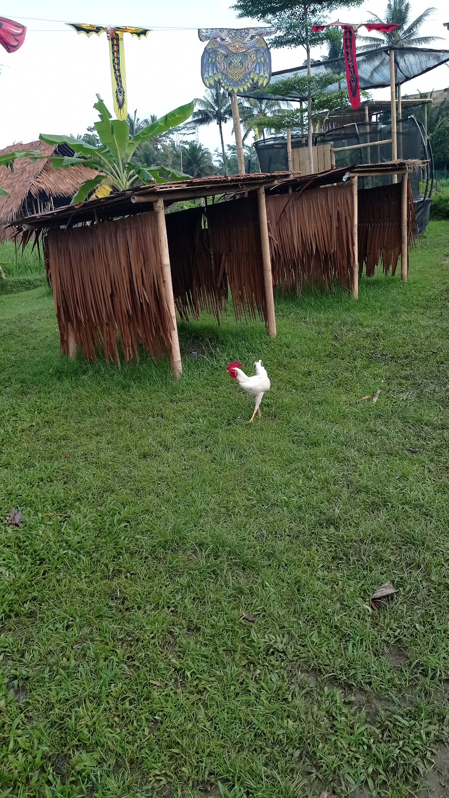 Empathy School (International, Ubud)