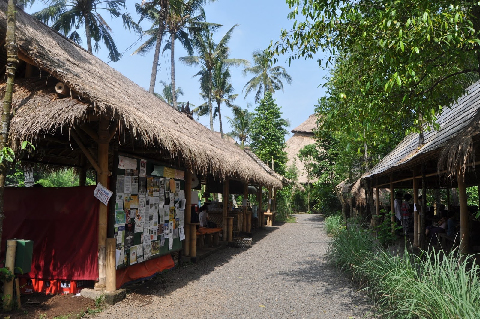 School Green School 64576