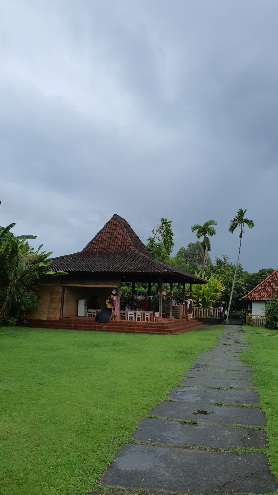 School Little Tree Preschool Bali 103304