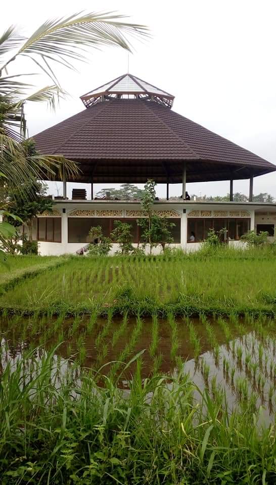 Sekolah Montessori Erdkinder Bali