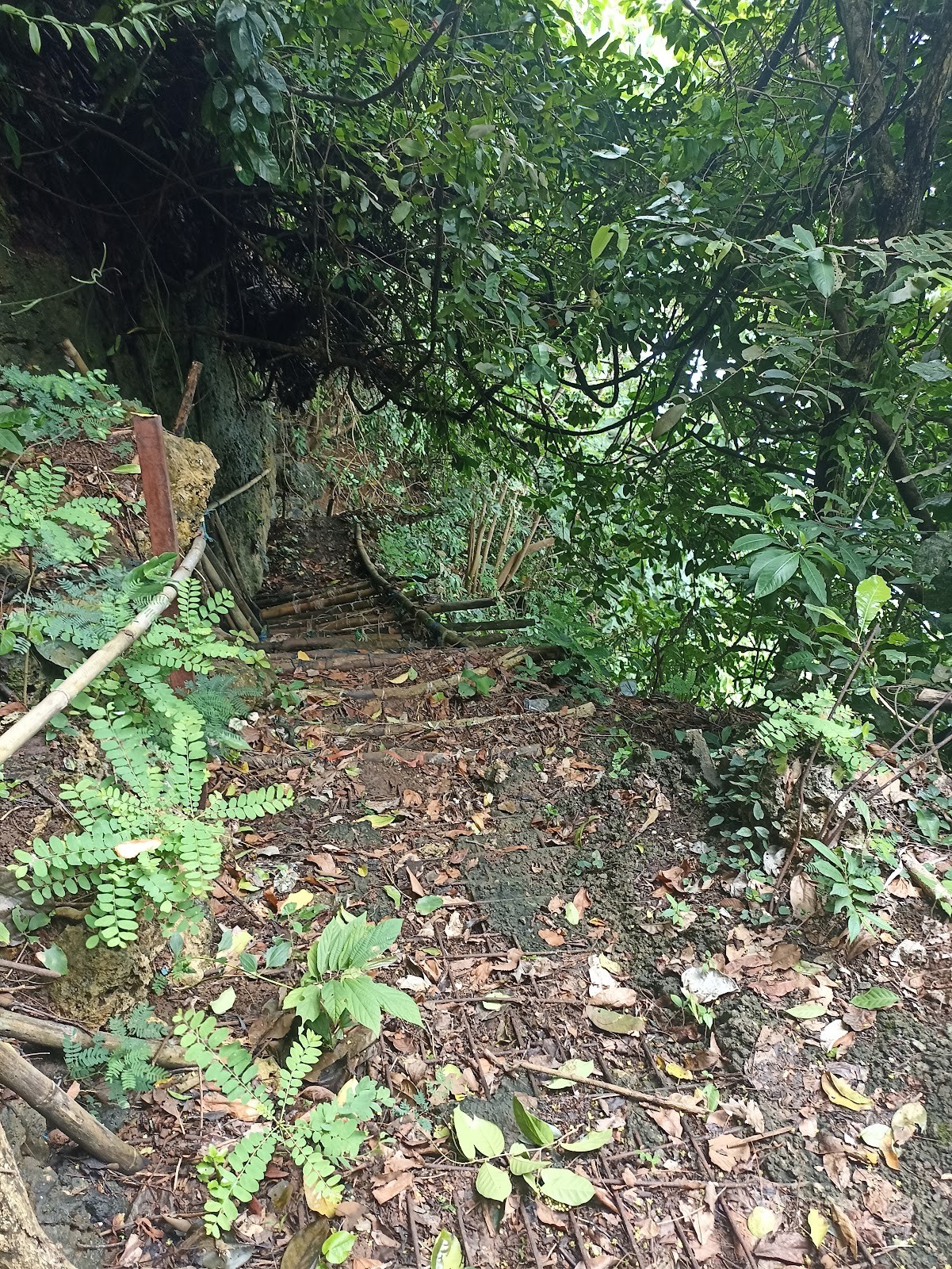 Observation Deck above Nunggalan Beach