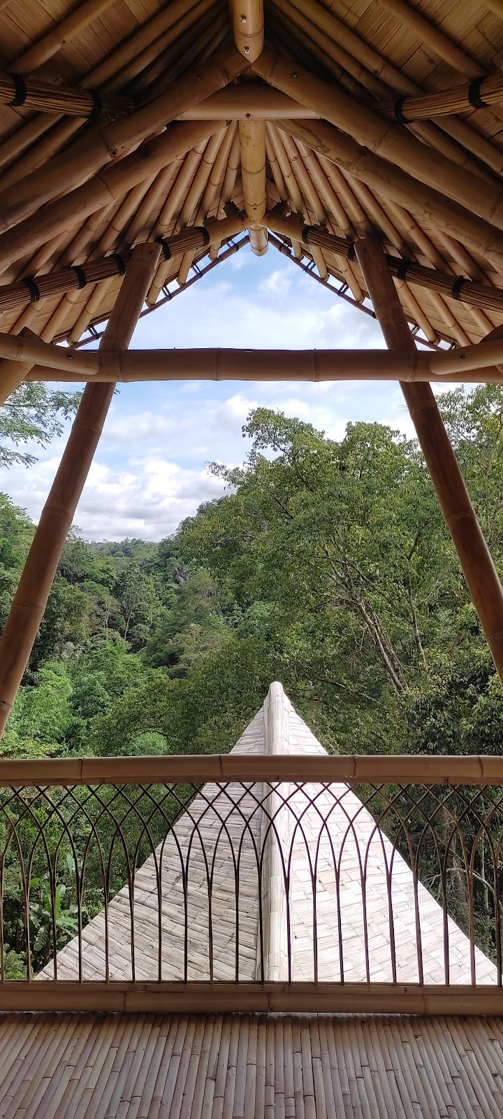 Happiness Jungle