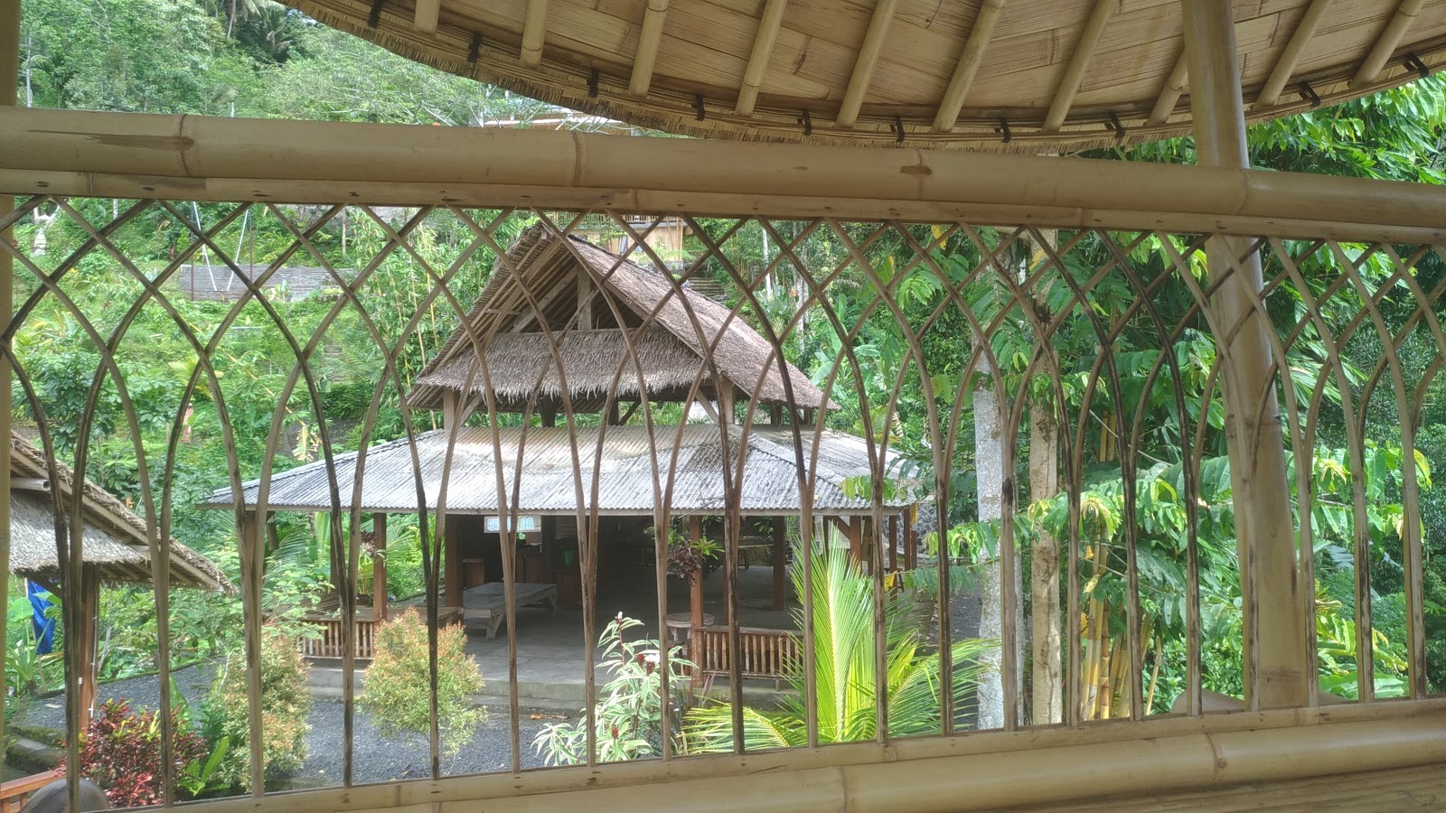 Happiness Jungle