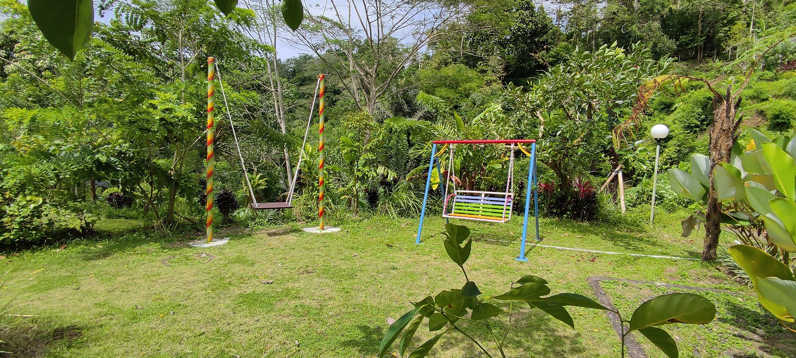 Happiness Jungle