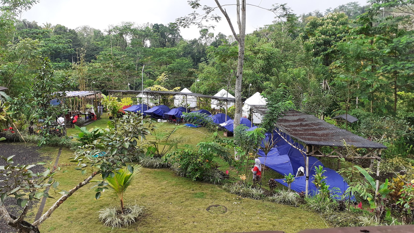 Happiness Jungle