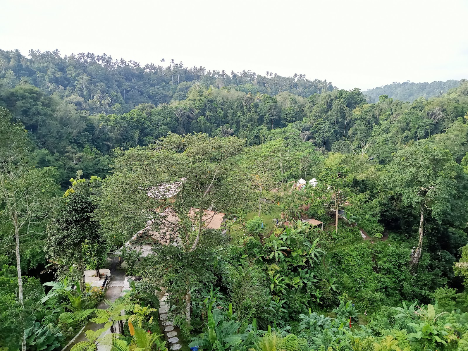 Happiness Jungle