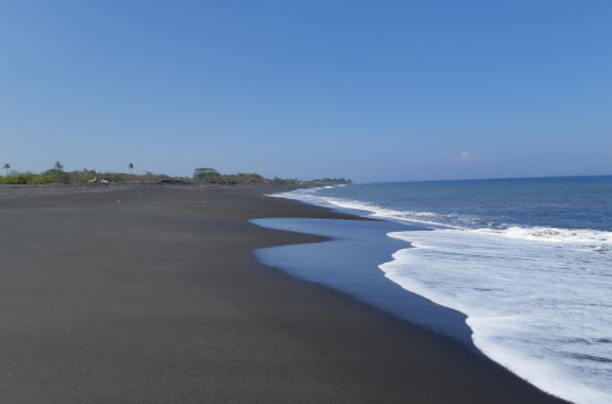 Beach Lepang beach 103740