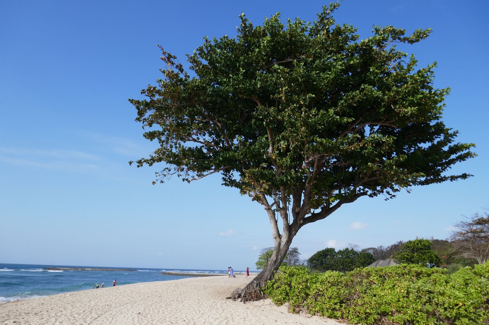 Sawangan Beach