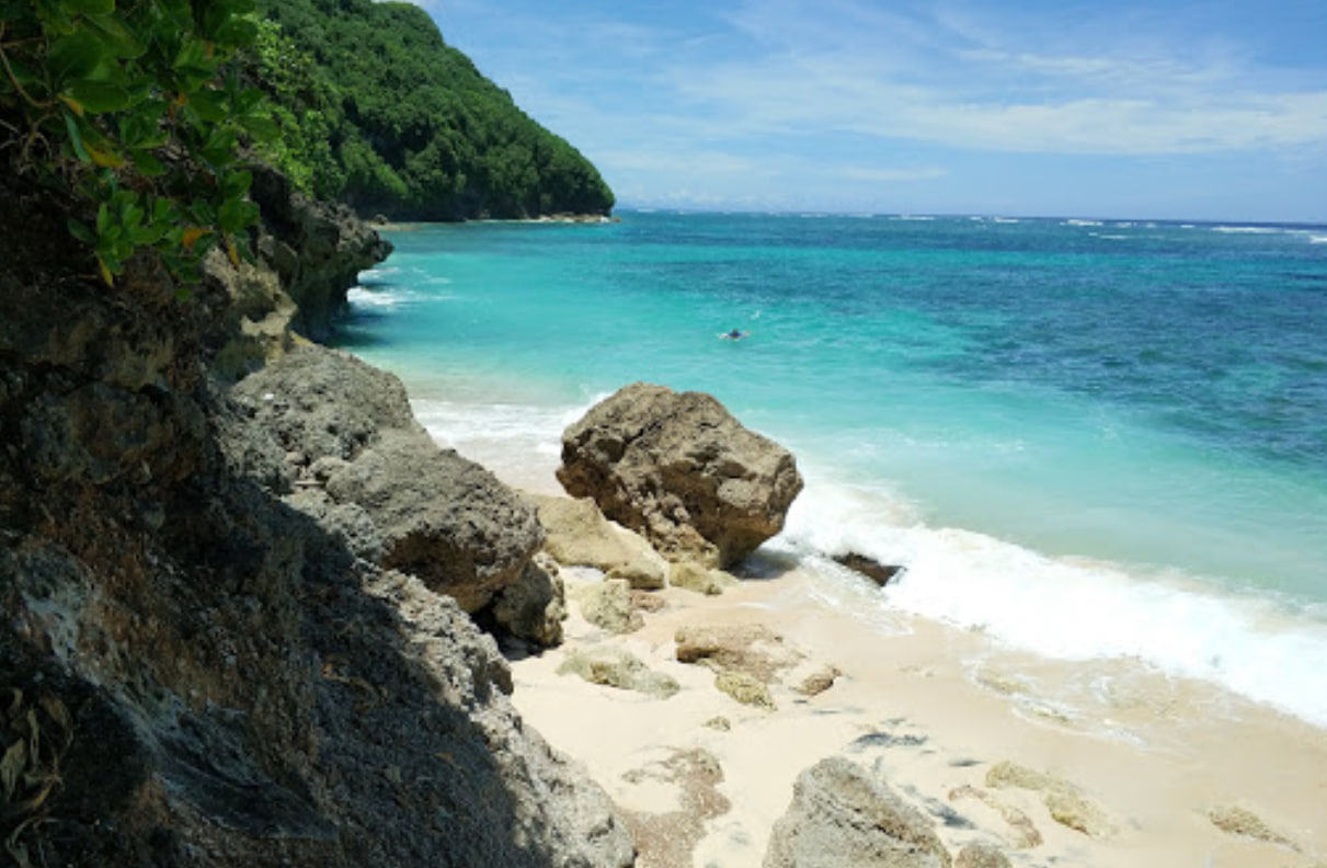 Beach Green Bowl Beach 101752