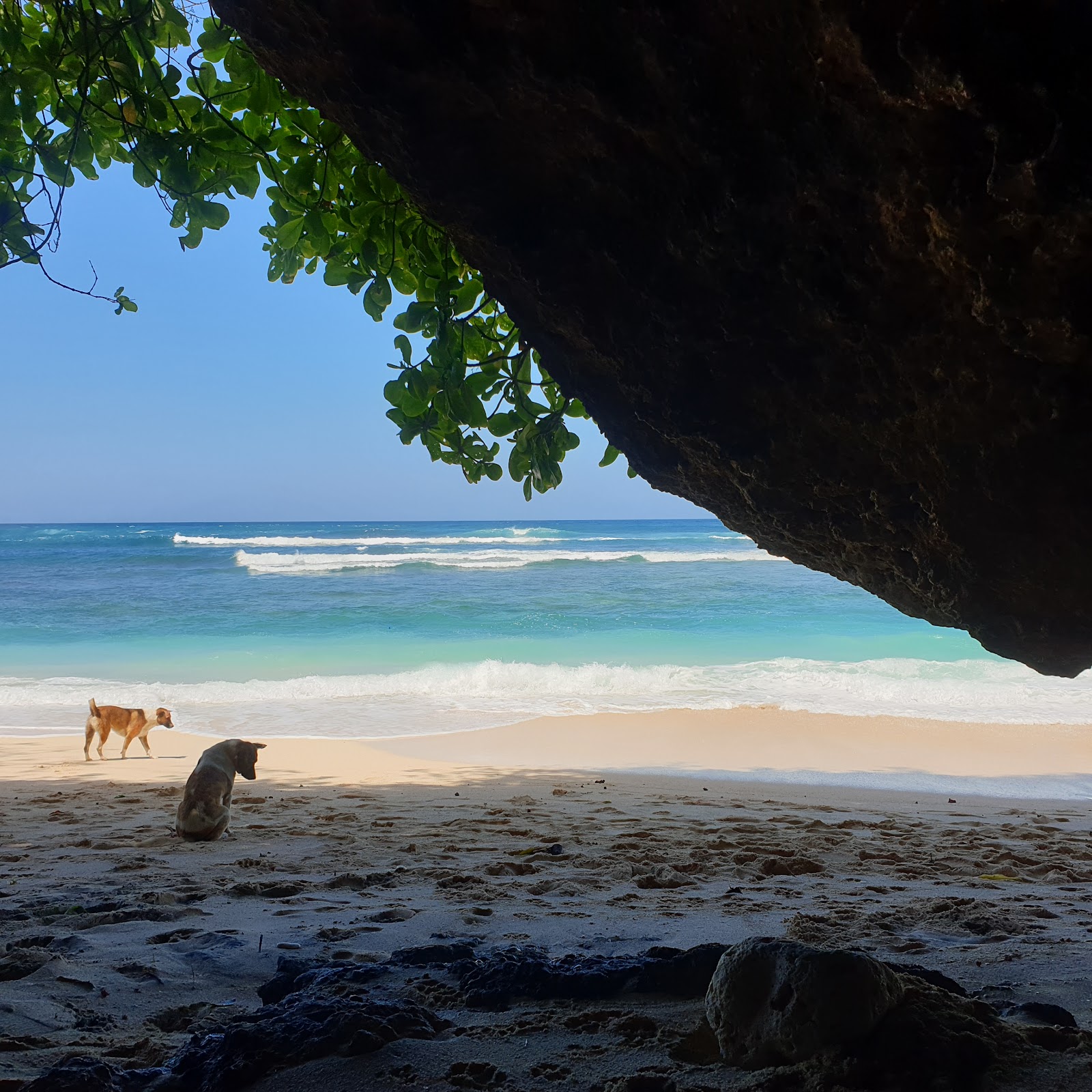 Green Bowl Beach