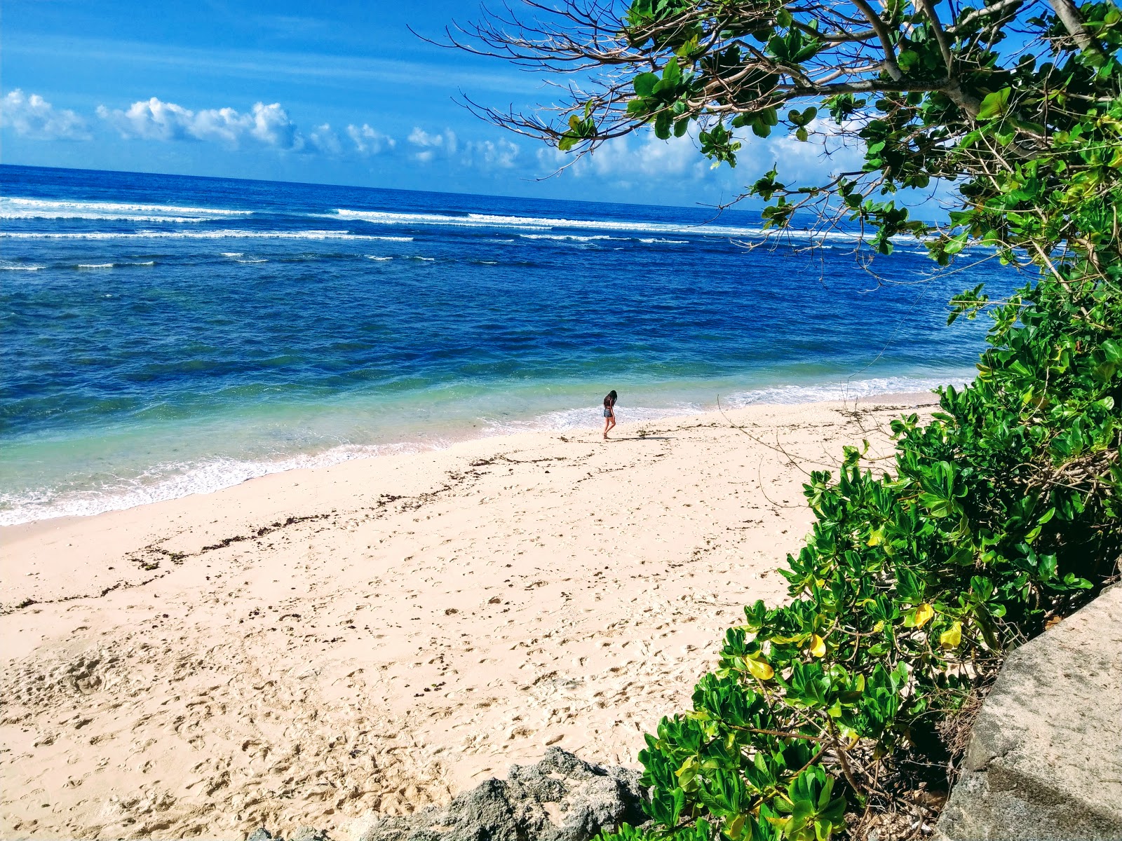 Beach Green Bowl Beach 101755