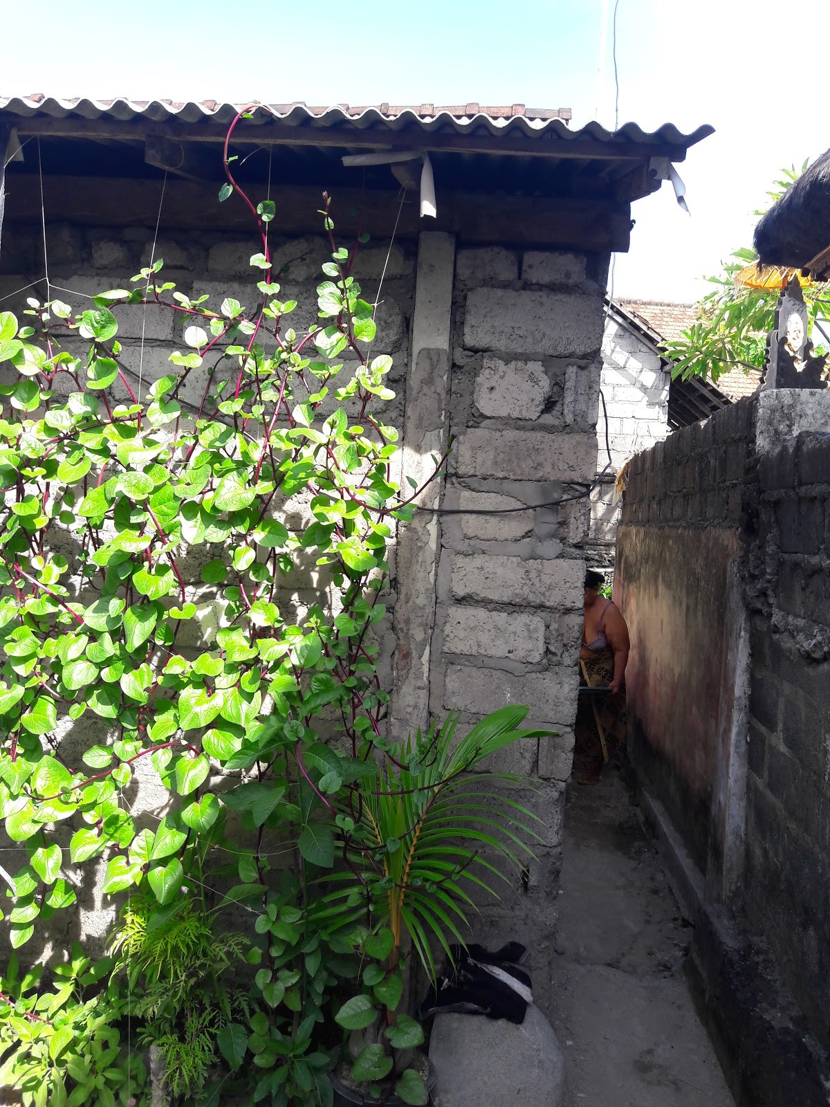 Serangan