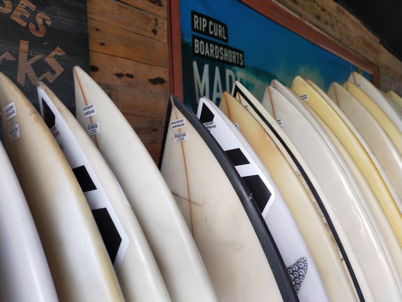 White Monkey Surf Shop