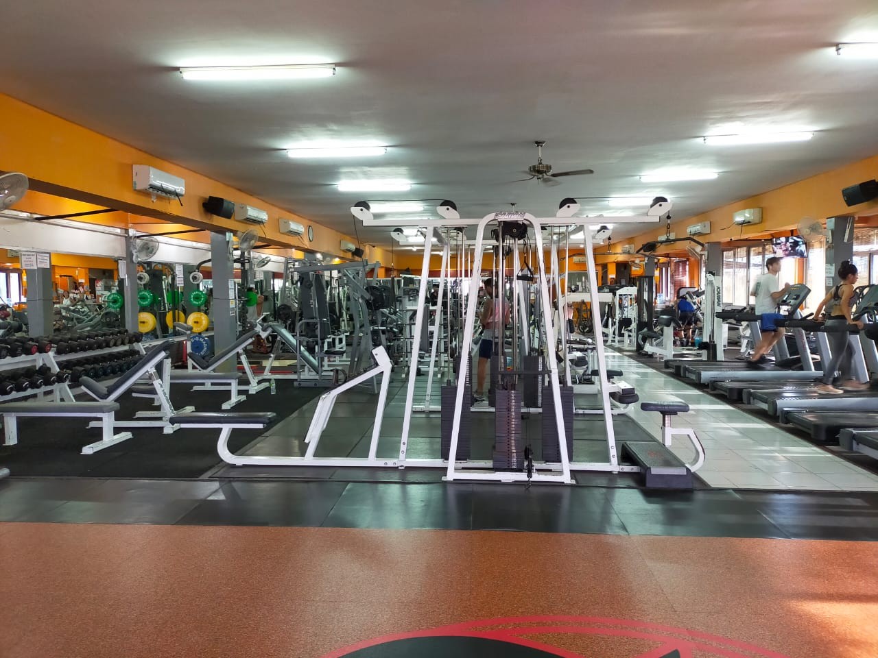 Hammerhead Fitness Gym