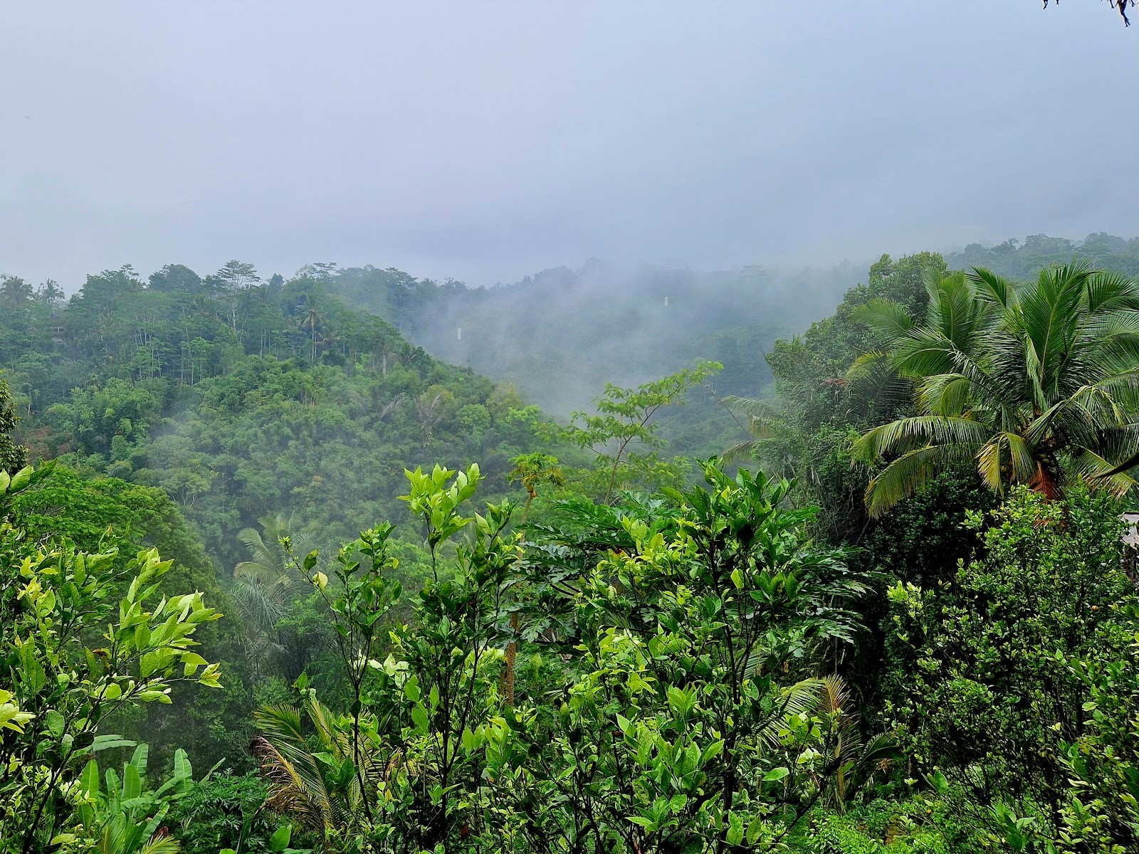 OKA Agriculture Bali