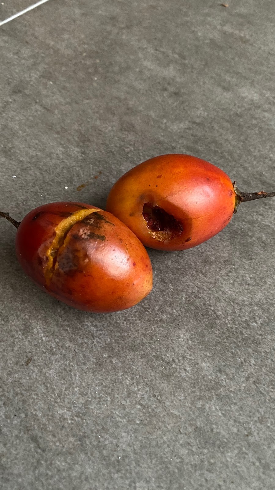 Buah Bali Fruits