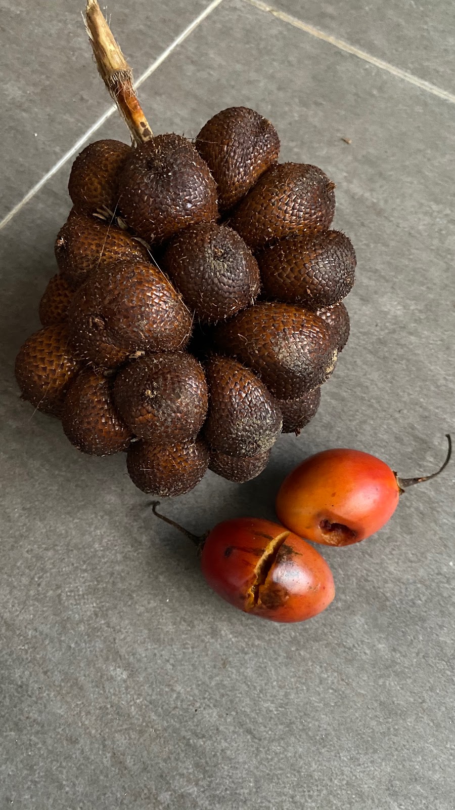 Buah Bali Fruits