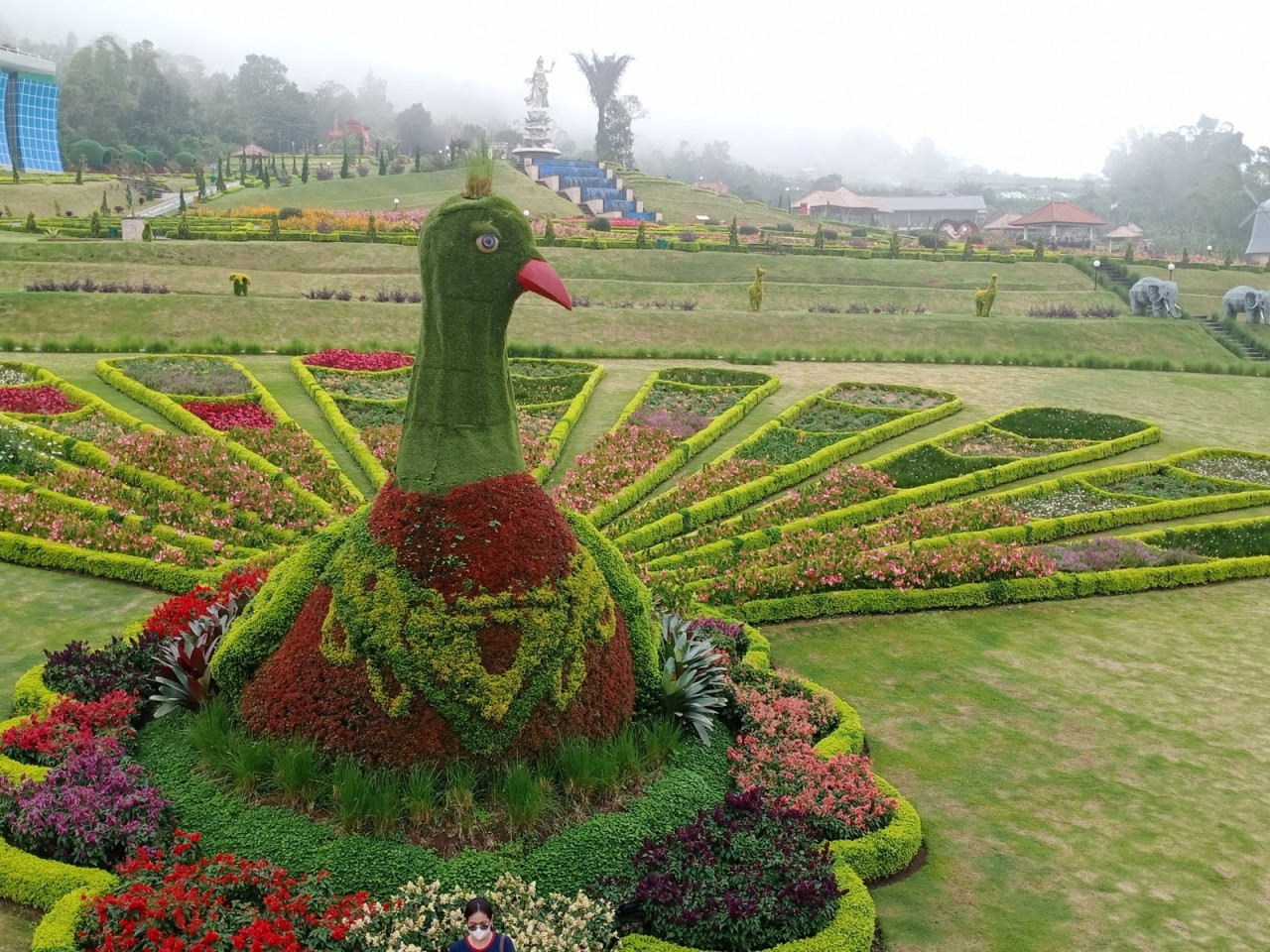 The Blooms Garden