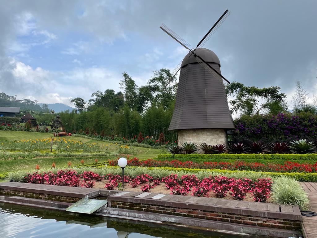 The Blooms Garden