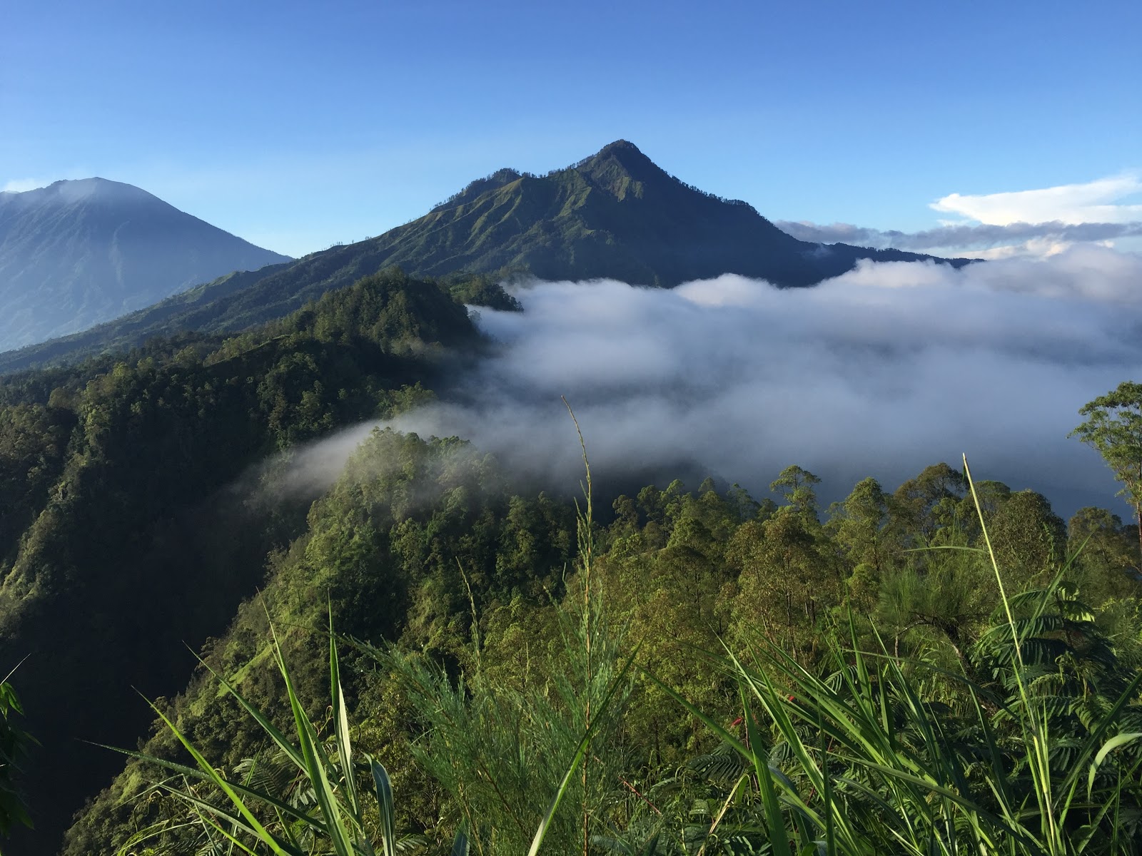 Alengkong Bali Camp